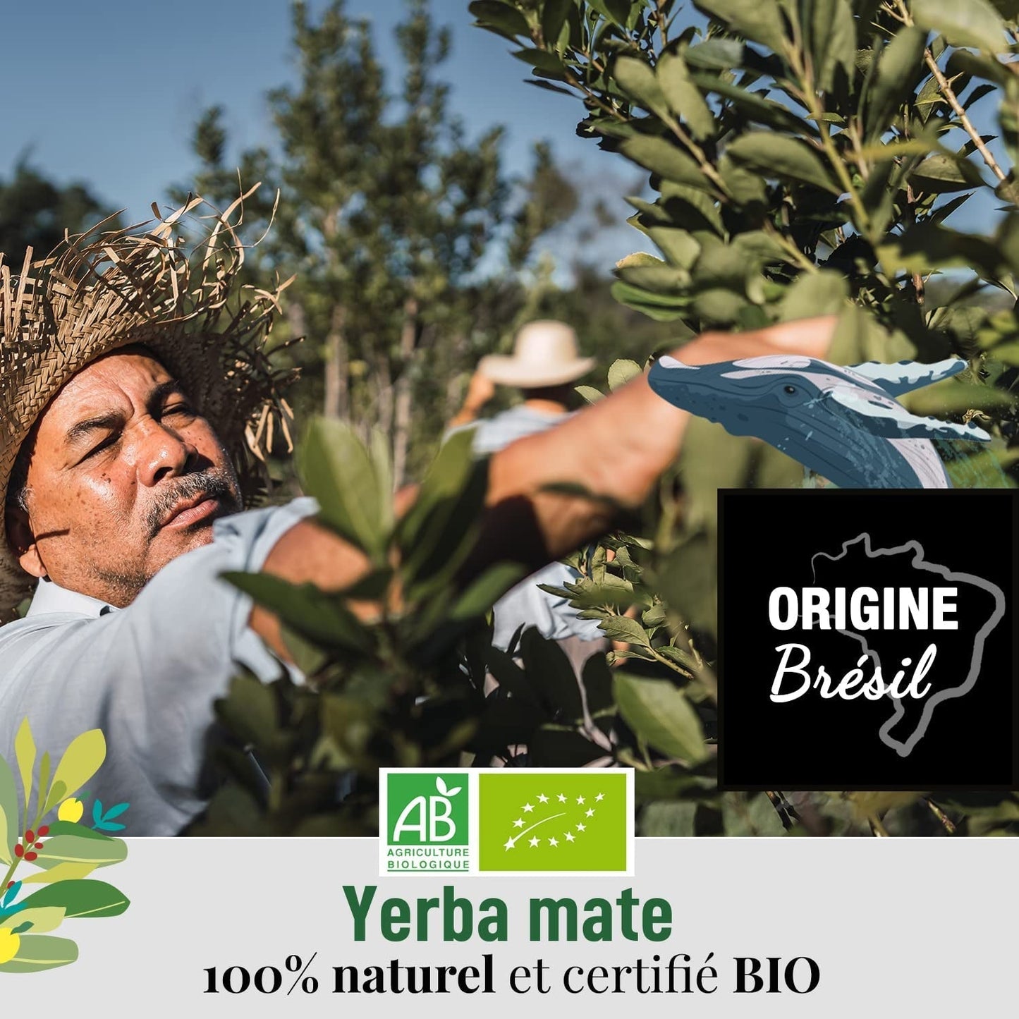 ORIGEENS BIO YERBA MATE MIT MINZE UND ZITRONE 200 G – Frische I Ungerösteter Bio Yerba Mate, Blätter, ohne Stiele und Staub
