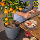 Pflanzgefäß LECHUZA Classico Color ECO 60 Dunkelgrau | Pflanzgefäß mit Bewässerungssystem und Wasserstandsanzeige | Hergestellt aus 100 % recyceltem Kunststoff | Mattes Finish | Ø 60 x 55,5 cm | 18955