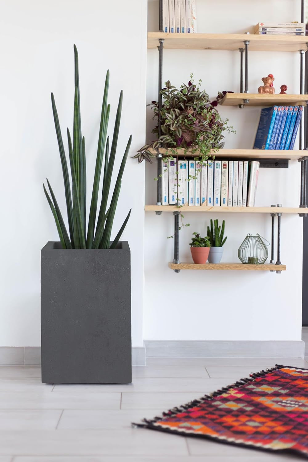 Basalt'Up Blumentopf, quadratisch, hoch, 36 l, Betonoptik, schlichte Wand, Wassertank, 29,5 x 29,5 x 49,5 cm, Anthrazitgrau