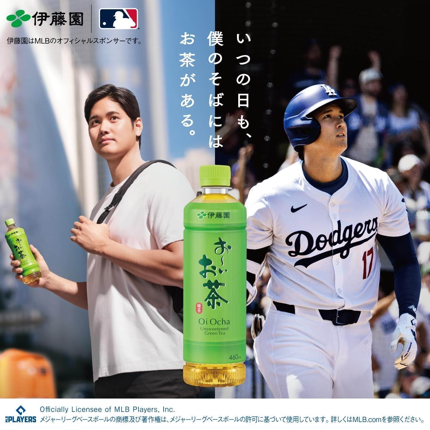 Itoen Oiocha Matcha-Iri Ryokucha – Japanische Grünteeblätter – 100 g