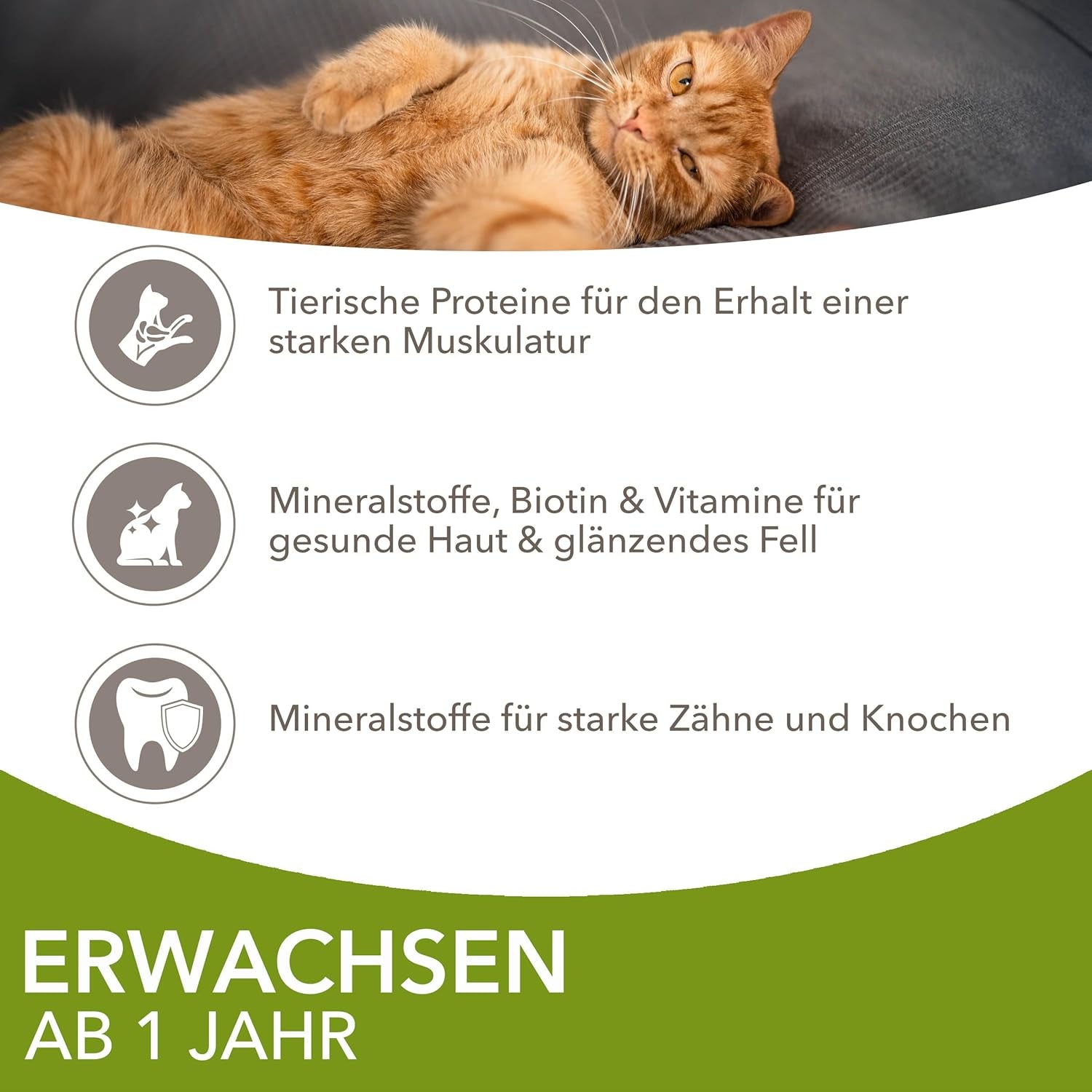 IAMS Delights Land Collection Nassfutter für Katzen – Multipack mit Fleischsorten (Lamm, Rind, Huhn und Pute) in Soße, Nassfutter für Katzen ab 1 Jahr, 12 x 85g