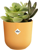 elho Jazz Round Mini 7 cm – Blumentöpfe für den Innenbereich – 100 % recycelter Kunststoff – Ø 7 x H 6,5 cm – Gelb/Bernstein