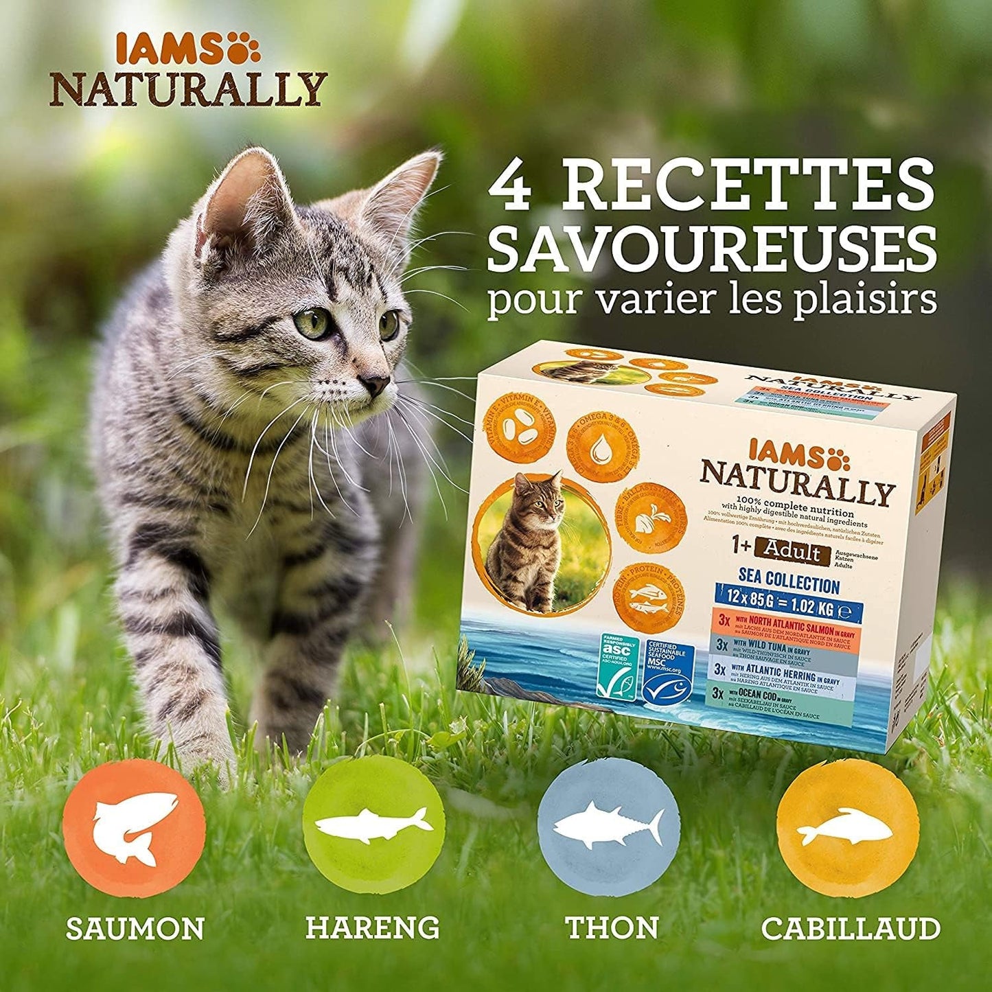 IAMS Natürliches Nassfutter für Katzen in Soße – Hochwertiges Nassfutter mit Fisch für ausgewachsene Katzen, Sea Collection, 12 x 85 g