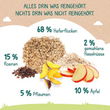 Milupa Babybrei – Hafer- und Früchtebrei, 10 Monate bis 3 Jahre Babynahrung, 1 x 400 g (2 Stück)