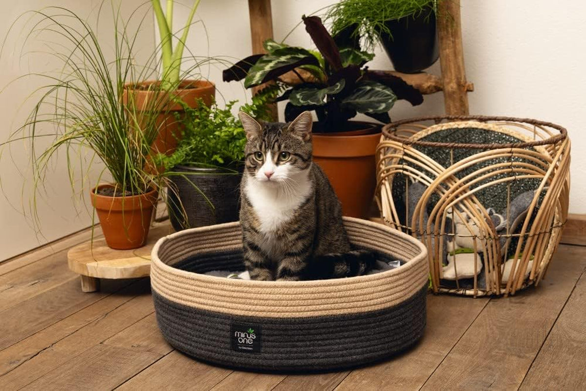 Betten, Decken & Möbel, Haustiere, Katzen, Katzenbetten, Katzenbetten, Matratzen