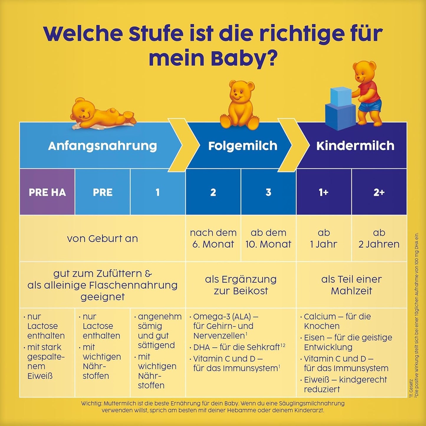 1 Säuglingsmilchpulver für Säuglinge ab der Geburt (5 x 500 g)