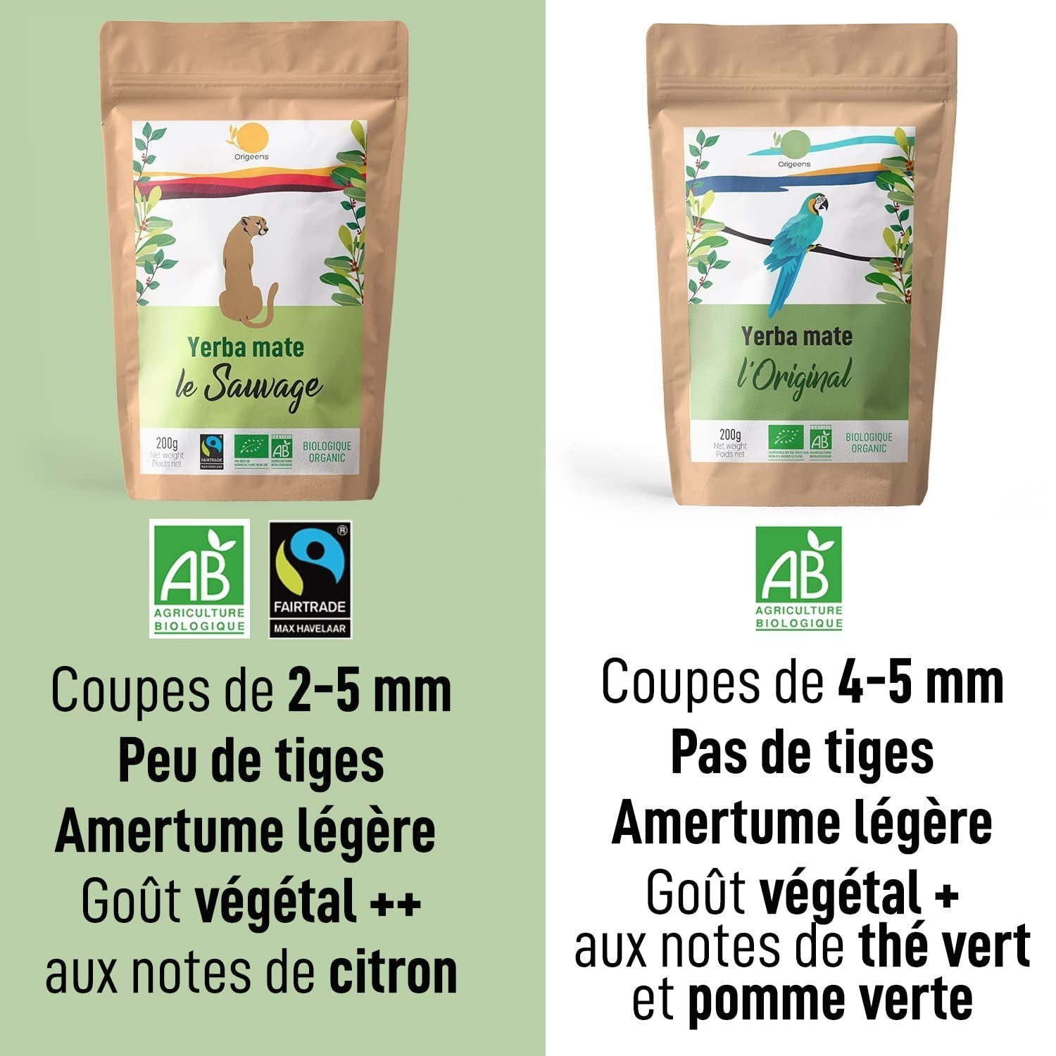 ORIGEENS BIO YERBA MATE TEE 200G – Das Original I Bio Yerba Mate ungeröstet, Blätter, ohne Stiele, Staub und Krümel I Energetisierendes und entgiftendes Getränk