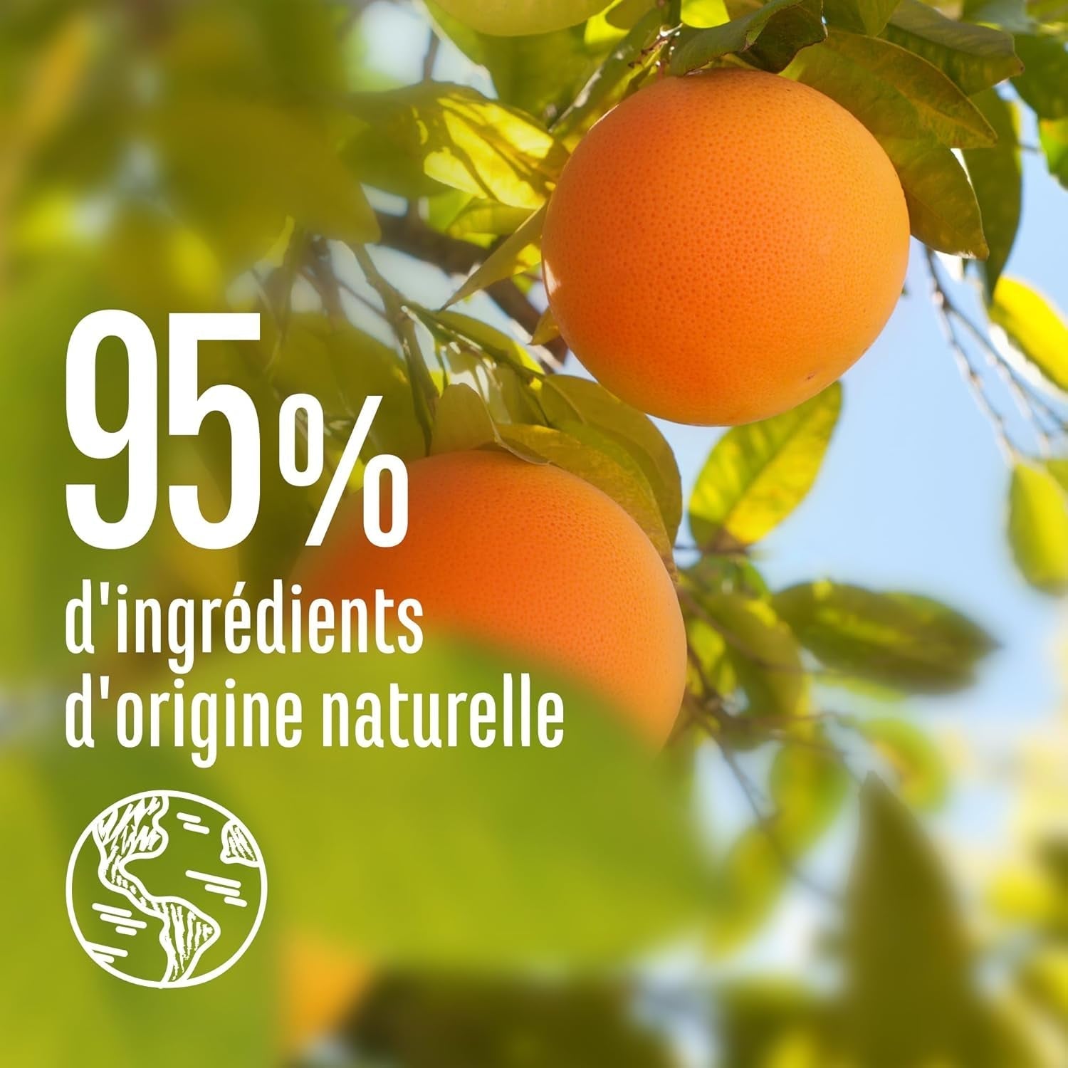 Le Petit Marseillais | Entwirrungsspray mit Grapefruit und Jasmin (200-ml-Flasche) – Leave-in-Entwirrungspflege – 95 % natürlich und silikonfrei. Haarentwirrungsprodukte Naty Shop