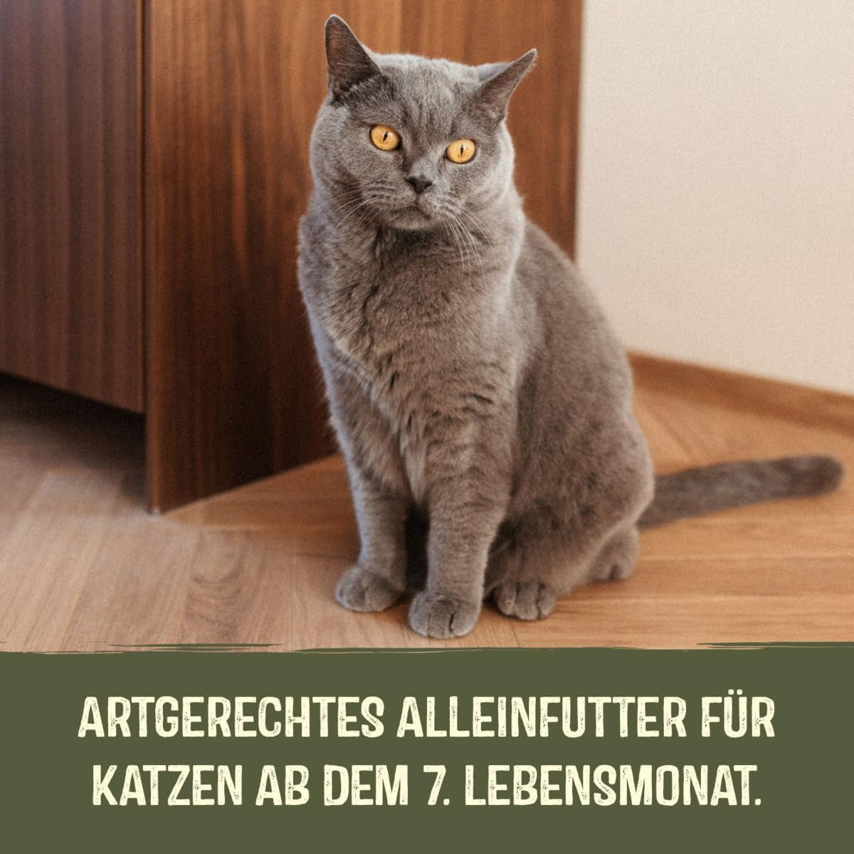 GimCat Near Nature Trial Mix 12er Pack – getreidefreies Nassfutter für Katzen ab 7 Monaten mit artgerechter und beutespezifischer Rezeptur – 12 Beutel (12 x 85 g)