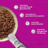 WHISKAS PURE DELIGHT Nassfutter in Gelee 24 x 85g Classic Ragout (4 Packungen) 48 Portionsbeutel