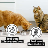 Nassfutter für Katzen Catz Finefood Purrrr Horse Monoprotein Nr. 123, für Katzen mit empfindlicher Verdauung, 70 % Fleischanteil, 6 Boxen x 400 g