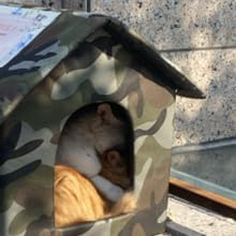 Decken und Möbel, Haustiere, Höhlen und Häuser, Katzen, Betten für Katzen, Katzenbetten, Matratzen