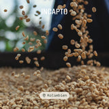 Incapto Spezialitäten-Kaffeebohnen | Single-Origin-Kolumbianer | Espresso 100 % Arabica | Spezialitätenkaffee 84 Punkte SCA | Traditionell gerösteter Bohnenkaffee | Plantage Huila, Cadefihuila, 1kg