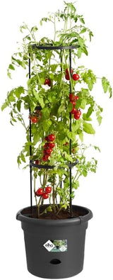 elho Green Basics Tomatentöpfe 33 – Blumentöpfe für den Anbau und die Ernte im Freien – Ø 33,5 x H 26,0 cm – Schwarz/Vivid Black