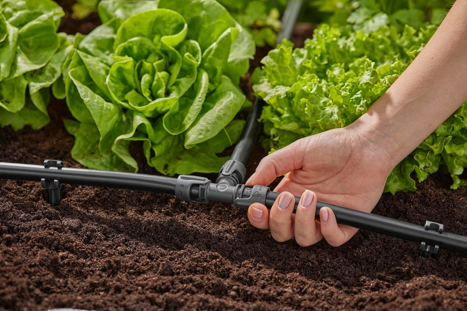 Gardena Micro-Drip-Bewässerungssystem T-Stück 13 mm (1/2 Zoll): Anschluss für 13 mm Zulaufrohre, T-Abzweig, automatische Bewässerung, wiederverwendbar (13201-20)