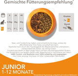 IAMS Delights Kitten Nassfutter - Multipack Katzenfutter mit Hunn in Sauce, hochwertiges Futter für Junior Kätzchen von 1-12 Monaten, 12 x 85 g