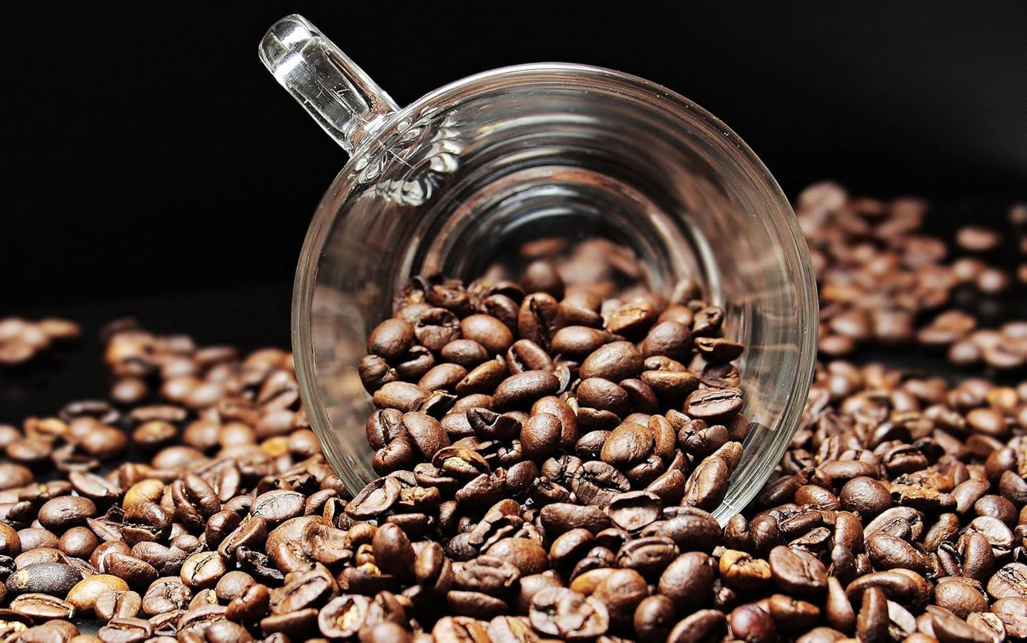Spezialkaffee aus Südamerika – Galapagos, dem einzigartigen Ökosystem der Inseln (1000 Gramm, ganze Bohnen) – Single Origin Kaffee – Premiumkaffee – geringer Säuregehalt – leicht geröstet und frisch