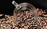 Spezialkaffee aus Südamerika – Galapagos, dem einzigartigen Ökosystem der Inseln (1000 Gramm, ganze Bohnen) – Single Origin Kaffee – Premiumkaffee – geringer Säuregehalt – leicht geröstet und frisch