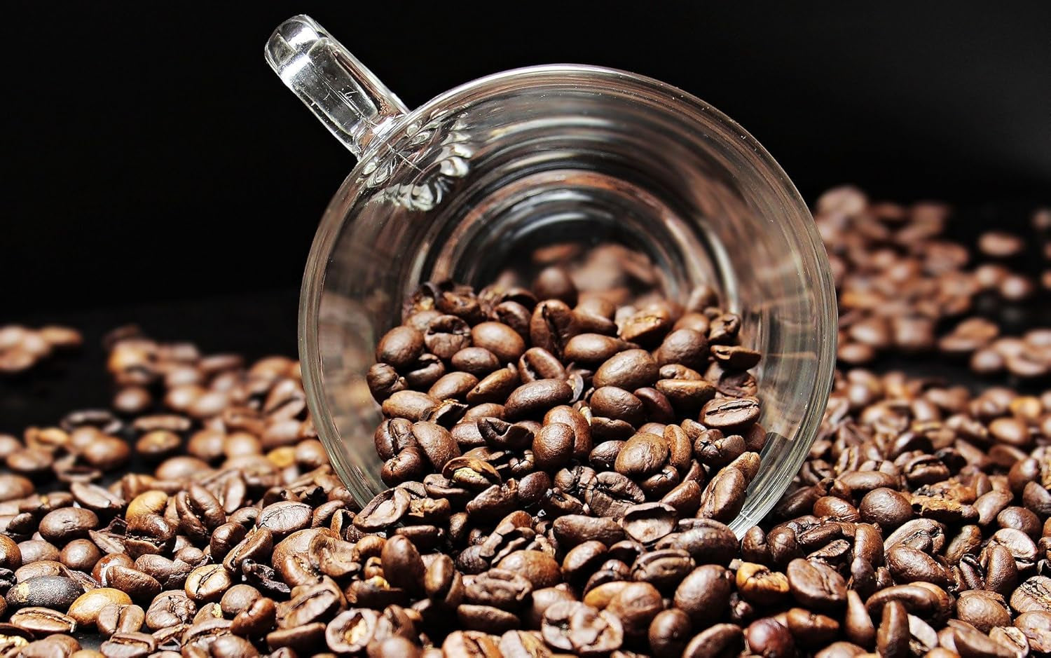 Spezialkaffee aus Südamerika – Galapagos, dem einzigartigen Ökosystem der Inseln (1000 Gramm, ganze Bohnen) – Single Origin Kaffee – Premiumkaffee – geringer Säuregehalt – leicht geröstet und frisch