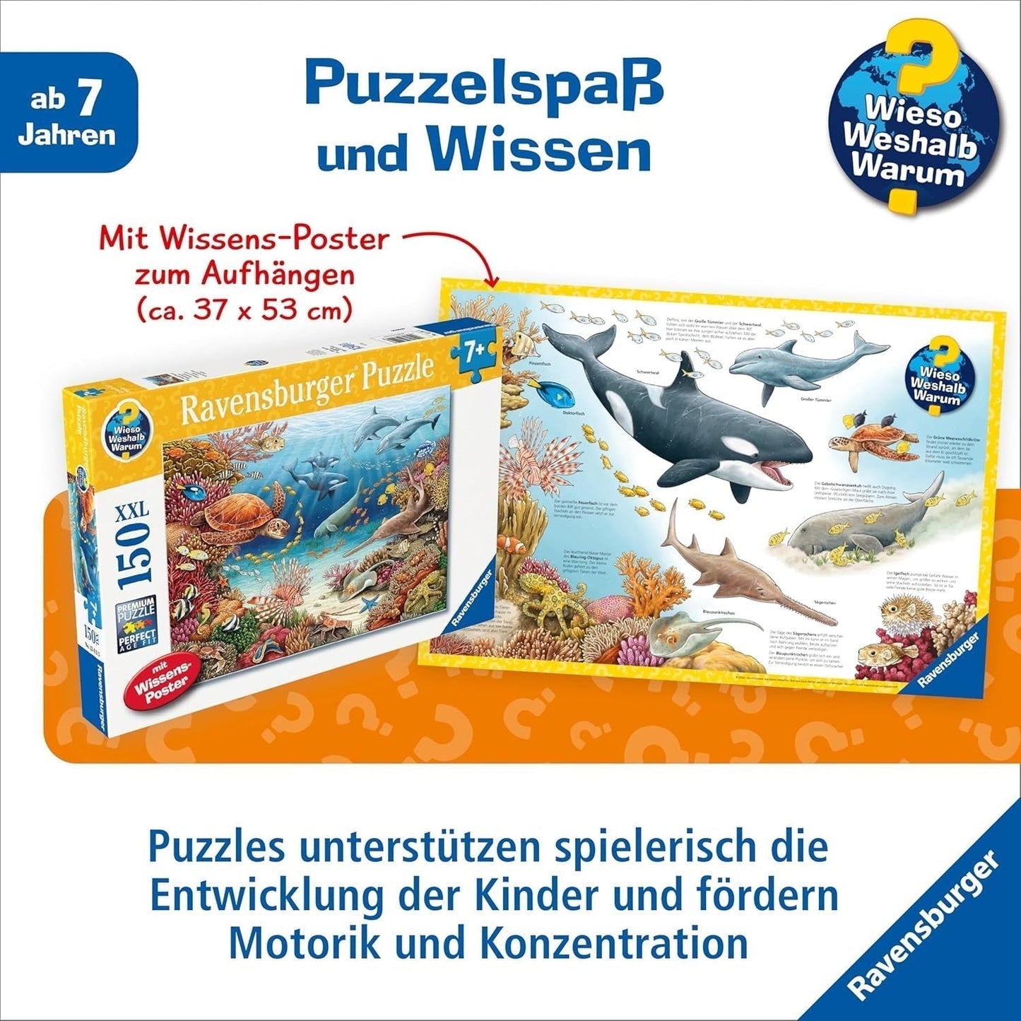 Ravensburger Kinderpuzzle 13411 - Meeresbewohner am Korallenriff - Warum? Warum? Warum? Puzzle 150 Teile XXL + Wissensposter, für Kinder ab 7 Jahren Puzzle Naty Shop