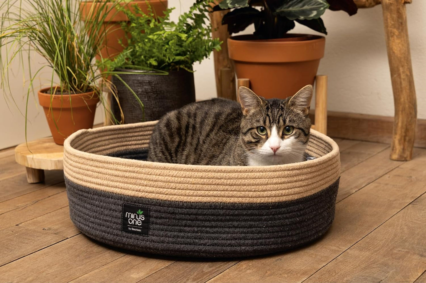 Betten, Decken & Möbel, Haustiere, Katzen, Katzenbetten, Katzenbetten, Matratzen