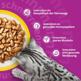 Whiskas 7+ Nassfutter für Katzen, Auswahl an Geflügel in Sauce, 24 x 85 g (2 Packungen) – hochwertiges Nassfutter ab 7 Jahren in 48 Portionsbeuteln