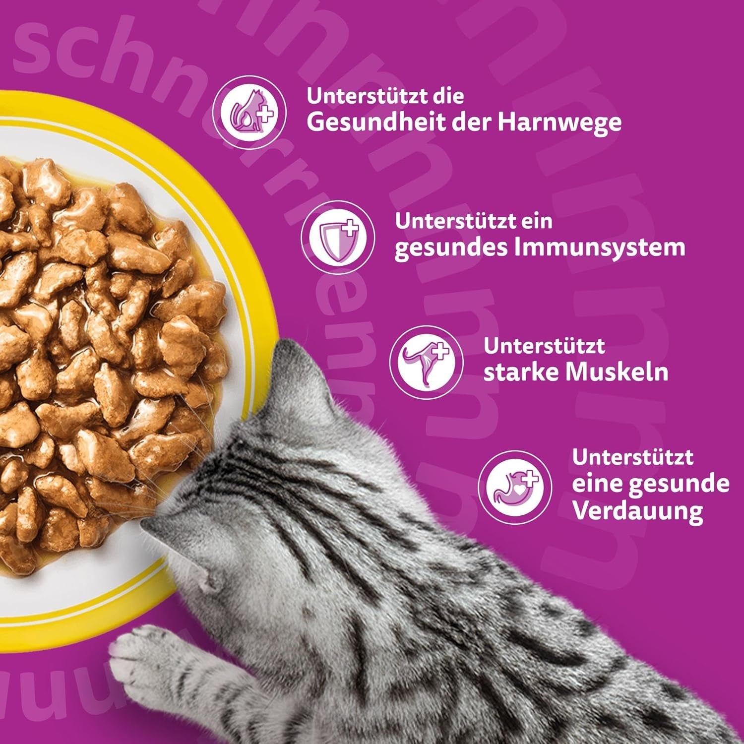 Whiskas 7+ Nassfutter für Katzen, Auswahl an Geflügel in Sauce, 24 x 85 g (2 Packungen) – hochwertiges Nassfutter ab 7 Jahren in 48 Portionsbeuteln