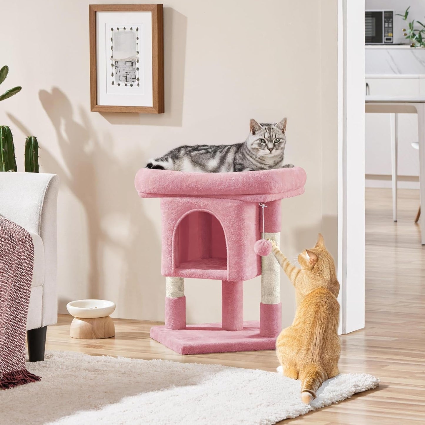 Decken und Möbel, Haustiere, Katzen, Betten für Katzen, Kratzbaum, Katzenbetten, Matratzen