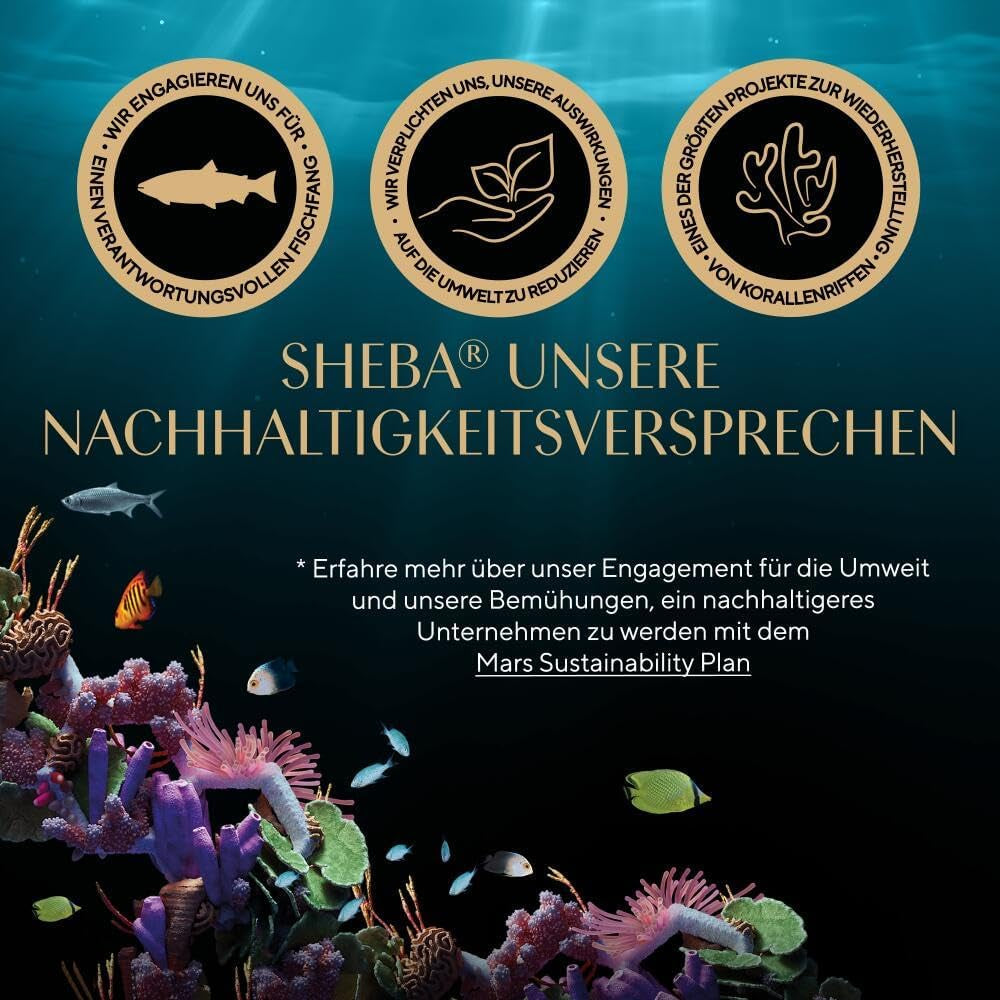 Sheba Portionsbeutel Nassfutter für Katzen, Multipack Fresh & Fine in Gelee mit MSC Thunfisch und Lachs, 6x6x50g - Gesunde Mahlzeiten für Katzen mit Gelee