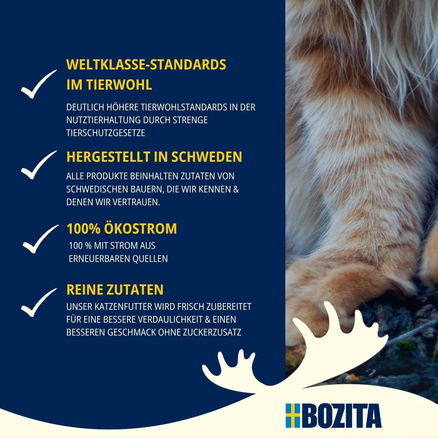Bozita Mousse MSC Lachs – 12 x 85 g Nassfutter für Katzen mit einer feinen Textur aus Mousse und Lachs – getreidefreie Rezeptur, ohne Zucker- oder Farbstoffzusatz – mit Postbiotika zur Unterstützung der Darmflora