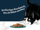 Felix Delicious Nass-Schnittfutter für Katzen in Gelee, Geschmacksvielfalt aus Wasser, 6er-Pack (6 x 10 Beutel à 80g)
