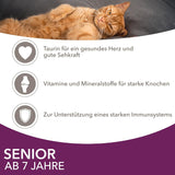 IAMS Delights Nassfutter für ältere Katzen – Multipack mit Huhn und Fisch in Soße, hochwertiges Nassfutter für Katzen ab 7 Jahren, 12 x 85g
