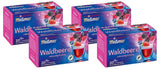 Meßmerbeeren | 20 Teebeutel | Vegan | Glutenfrei | Laktosefrei (4er Pack)