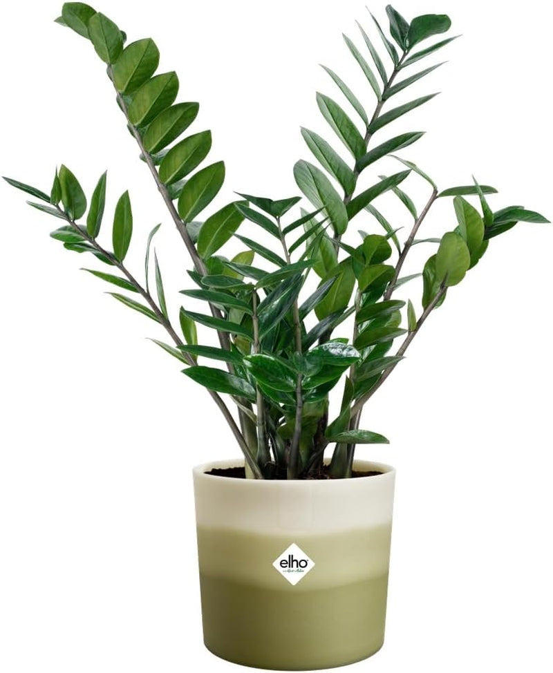 Runder Topf elho Farbverlauf 16 cm – für den Innenbereich – 100 % recycelter Kunststoff – Ø 15,9 x H 14,7 – Grün/Bambusgrün