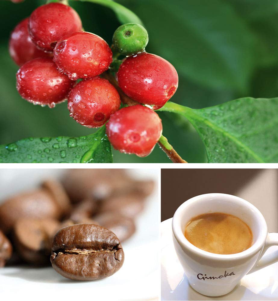 Gimoka – Kompatibel für Nescafè – Dolce Gusto – 64 Kapseln – cremiger Geschmack – Intensität 10 – hergestellt in Italien – 4 Packungen zu 16 Kapseln