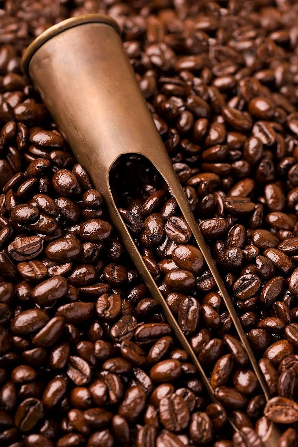 Caffè Barbera – Kaffeeset mit 3 Mischungen – 1870