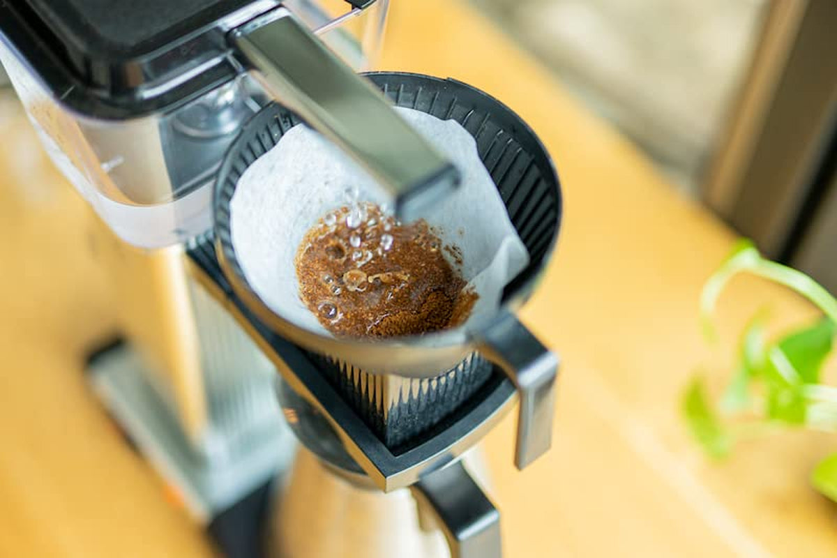 Frühlingsblütenfilter | 250 g Vollkorn | fair und nachhaltig | frisch frittiert | Kaffeebohnen 100 % Arabica | besonderer Kaffee | 19 Gramm Cafe Roastery…