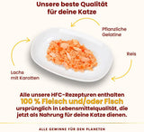 Almo Nature HFC Jelly – Nassfutter für erwachsene Katzen – Lachs und Karotten – menschliche Qualität, glutenfrei – 6 x 70 g