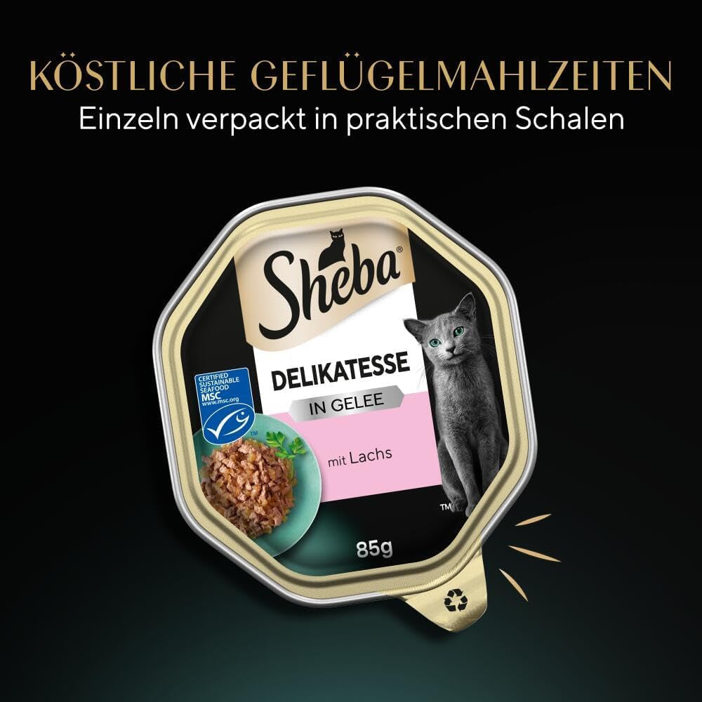 Sheba Nassfutter für Katzen, Delikatesse in Lachsgelee, 2 x 11 x 85 g