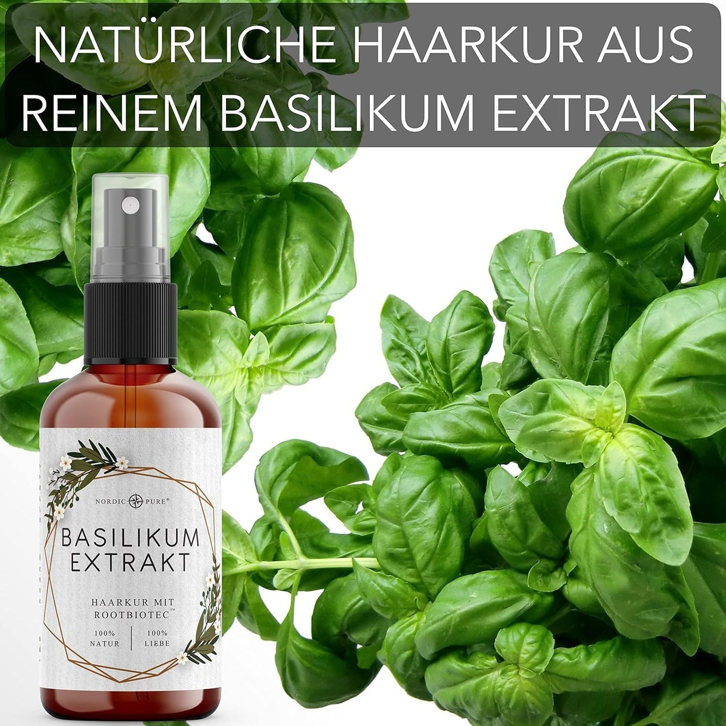 Haarkur mit Basilikumextrakt von Nordic Pure | Zur Pflege von dünnem, trockenem und brüchigem Haar | Kann Haarausfall vorbeugen 100 ml Naty Shop Haarpflege