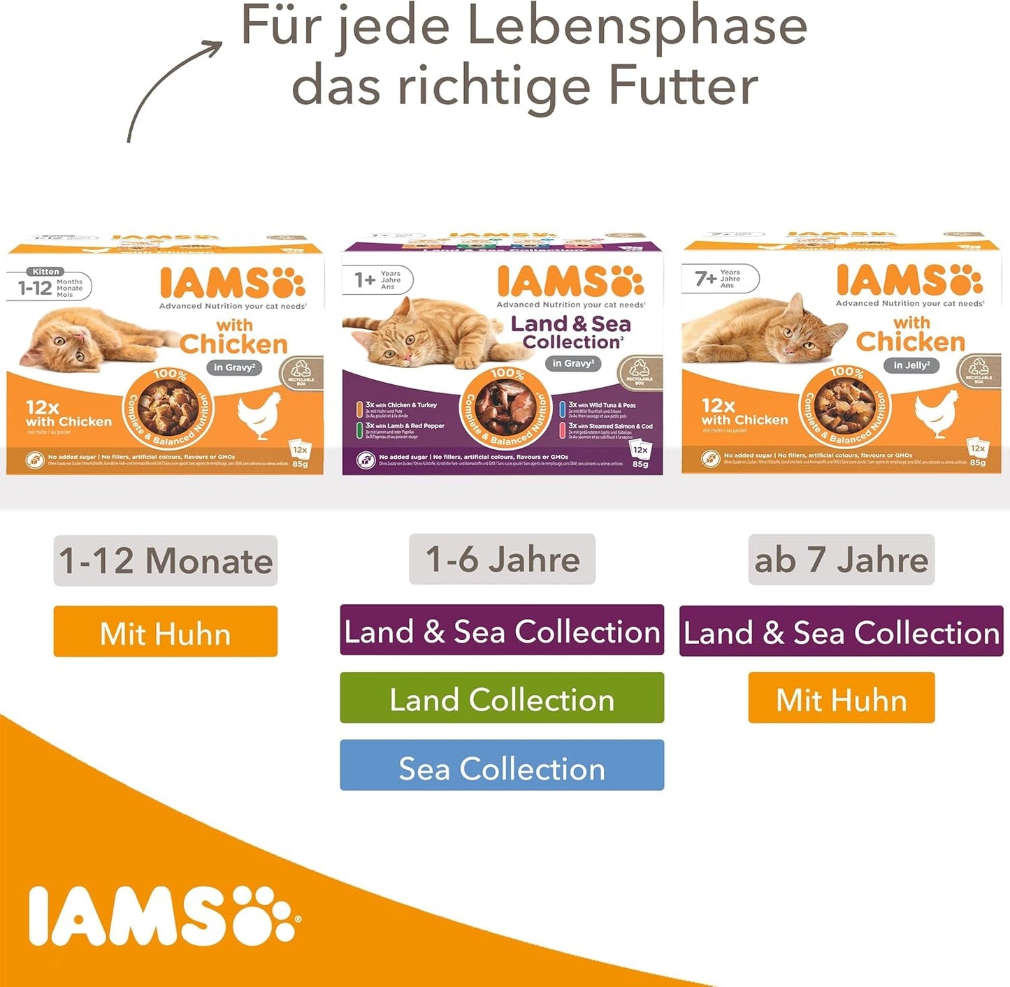 IAMS Delights Sea Collection Katzenfutter Nass - Multipack mit Fischsorten (Lachs, Thunfisch, Makrele, Seefisch) in Sauce, Nassfutter für Katzen ab 1 Jahr, 12 x 85g