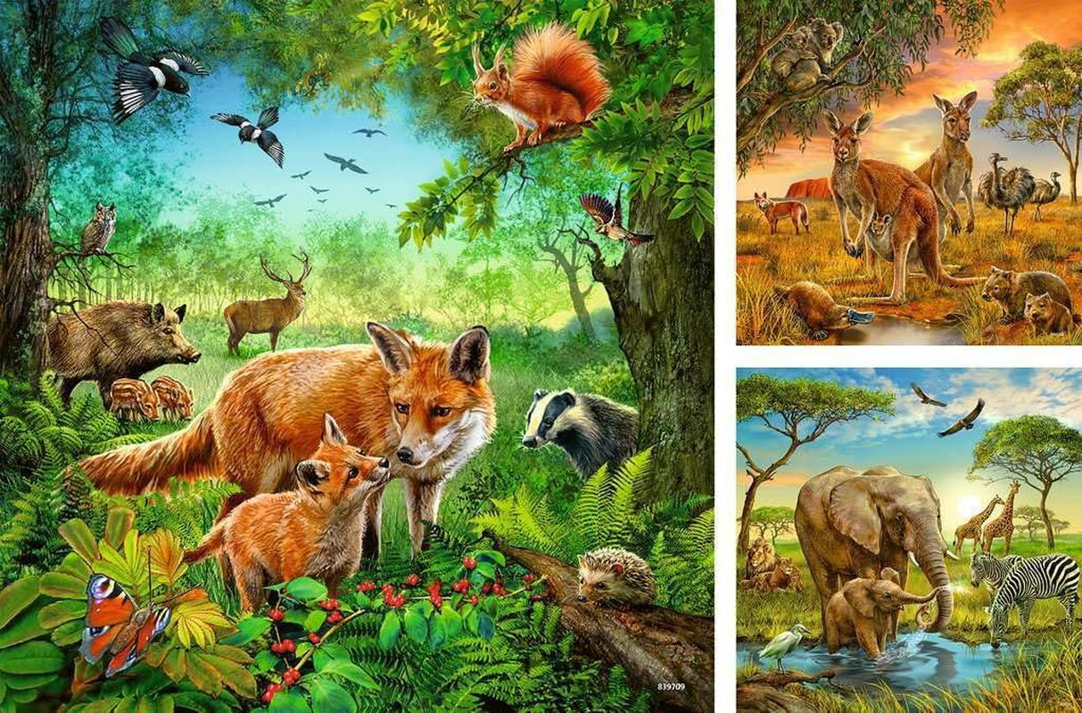 Ravensburger Puzzle für Kinder – 09330 Tiere der Erde – Puzzle für Kinder ab 5 Jahren, mit 3X49 Teilen Puzzle Naty Shop