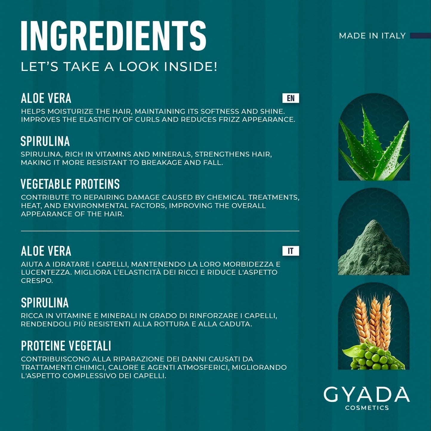 GYADA COSMETICS Spirulina Haarstärkungspaket, nährend, gegen Haarausfall, zwei Spitzen wirken, 250 ml + Kamm aus Buchenholz, ideal zum Entwirren aller Haartypen, Naty Shop Haarmaske