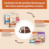 Wellness CORE Signature Selects 8 x 79 g, Mischung aus Rind, Huhn und Truthahn – Nassfutter für Katzen, köstliche Streifen in Soße, getreidefrei, natürlich, hypoallergen, proteinreich, reich an Fleisch