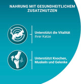 PURINA ONE Adult Nassfutter für Katzen, zarte Stücke in Hühnersauce, 26er Pack (26 x 85g)