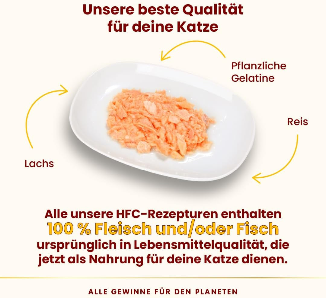 Almo Nature HFC Jelly – Nassfutter für ausgewachsene Katzen – Lachs – Human Grade, Glutenfrei & Monoprotein – 6 x 70 g