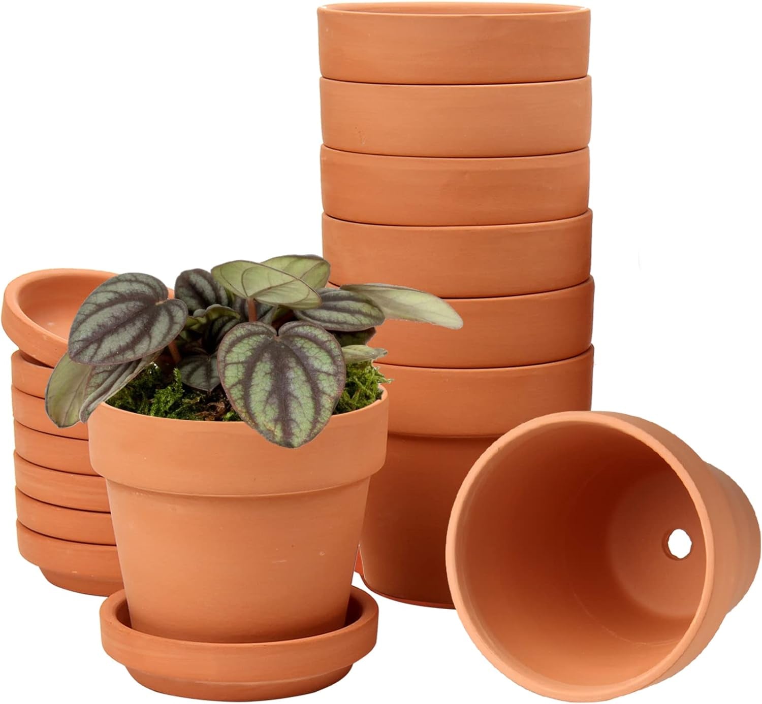 Hollyone 8-teiliges kleines Terrakotta-Pflanzgefäß-Set, 8 x 8 cm runde Tontöpfe mit Platte und Drainageloch, kleine Pflanzgefäße mit Tablett, Terrakotta-Sukkulentententöpfe für Zimmerpflanzen, Keramik-Pflanzgefäße