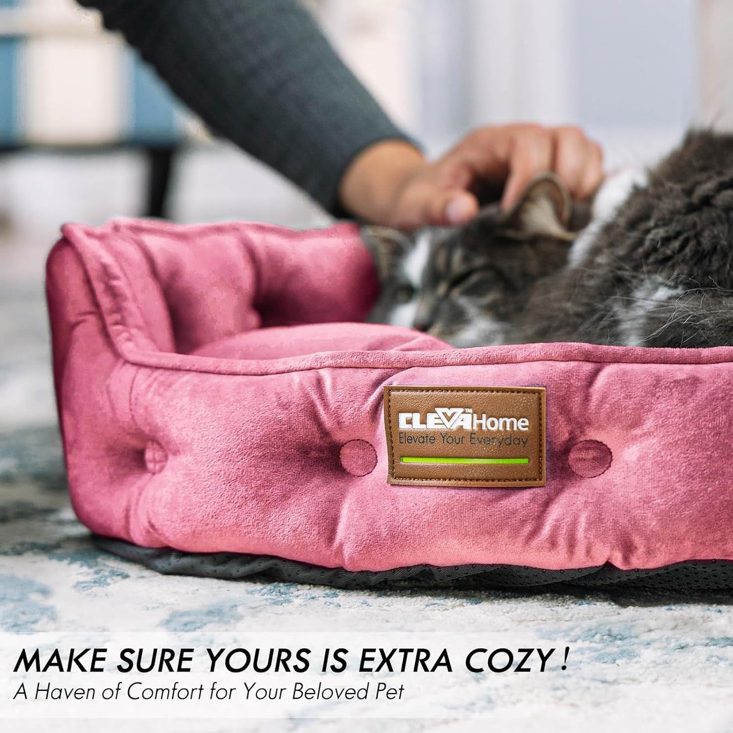 Betten und Sofas, Decken und Möbel, Haustiere, Katzen, Betten für Katzen, Katzenbetten, Matratzen