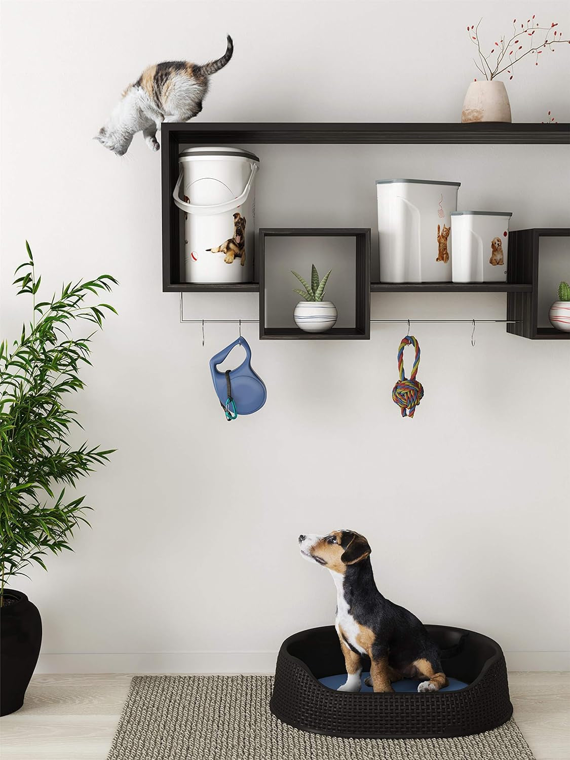Curver Hundefutterbehälter – 2 l Futteraufbewahrungsboxen Naty Shop