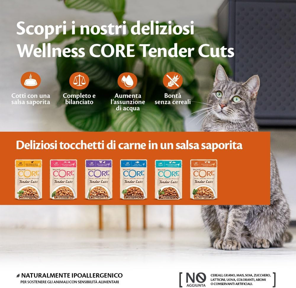 Wellness CORE Tender Cuts 6 x 85g, Chicken Selection Mix – Nassfutter für Katzen, zarte Stücke in Soße, getreidefrei, natürlich, hypoallergen, proteinreich, hoher Fleischanteil